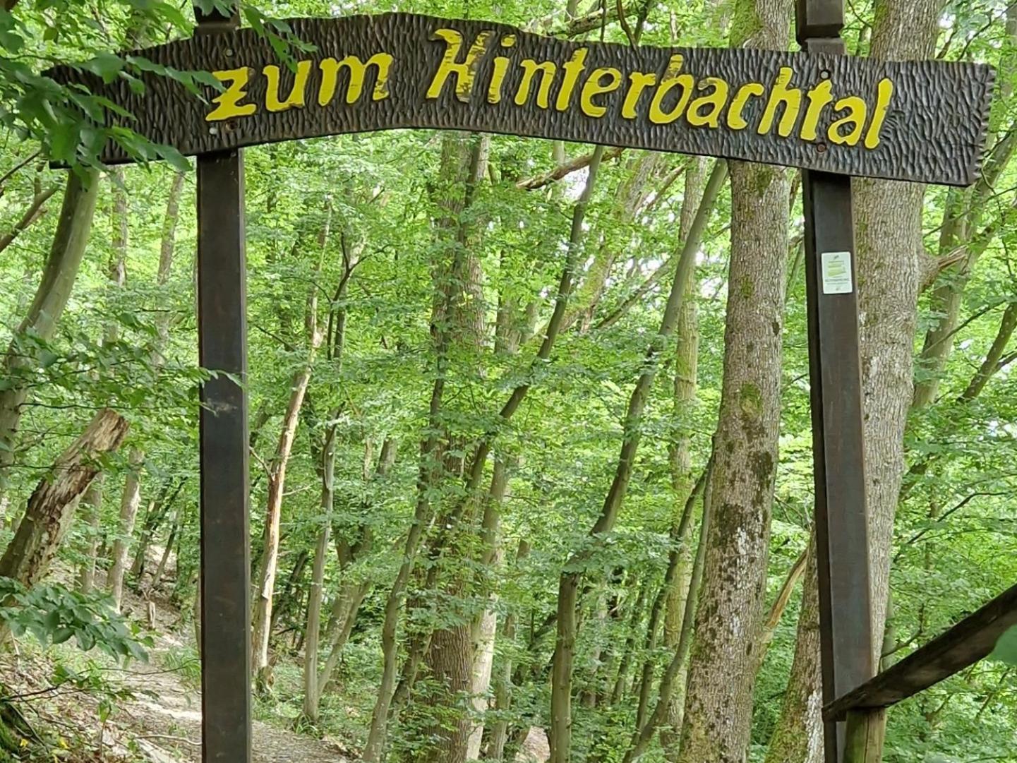 Ferienwohnung Im Moseltal Veldenz Zewnętrze zdjęcie